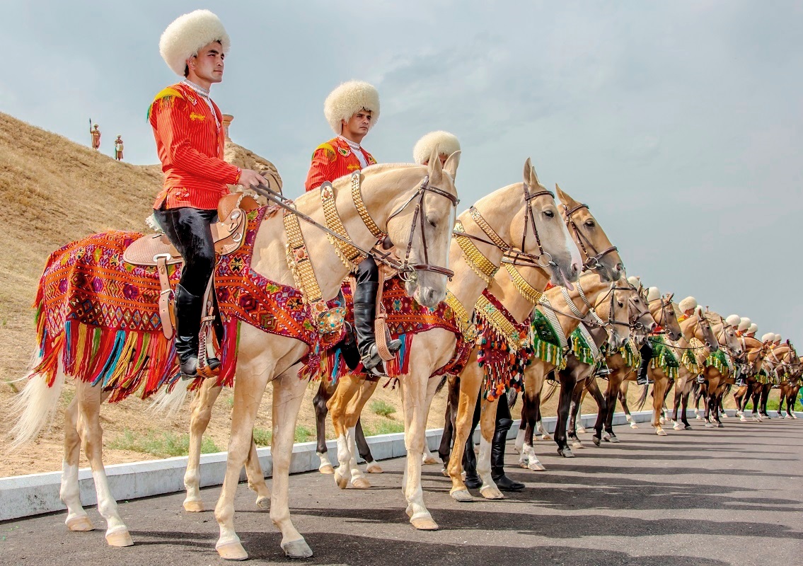Akhal-Teke Horses